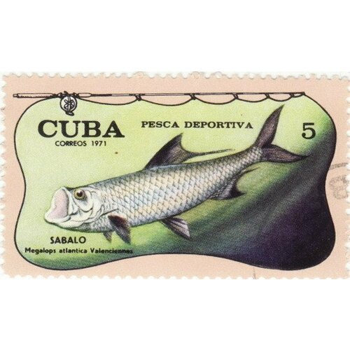 (1971-066) Марка Куба Атлантический тарпон Спортивная рыбалка III Θ 1971 051 марка куба рыбак выставка детских рисунков гавана iii θ