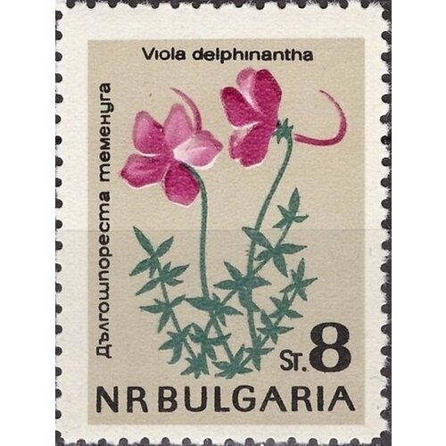 (1963-053) Марка Болгария Фиалка длинношпорцевая Цветы I Θ