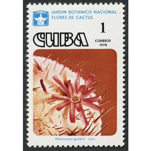 (1978-026) Сцепка (2 м) Куба Мелокактус Кактусы III Θ