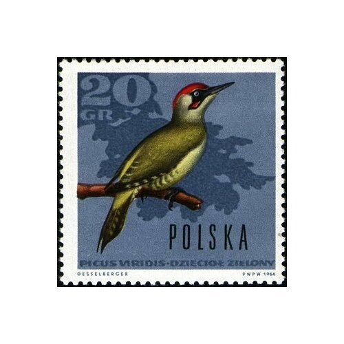 (1966-068) Марка Польша Зелёный дятел , III Θ 1966 037 блок марок польша бег на длинные дистанции iii θ