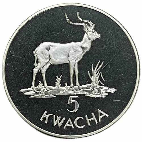 Замбия 5 квач 1979 г. (Охрана природы - Личи) (Proof) gold plated african wildlife buffalo zambia kwacha animal souvenirs coin medal collectible challenge coins gift challenger