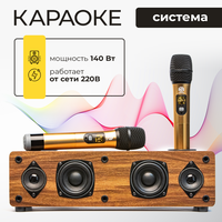 Караоке система NOIR-audio K-1 с двумя беспроводными микрофонами