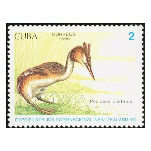 (1990-055) Марка Куба Большая поганка Птицы III Θ 1983 080 марка куба кубинский тиарис птицы iii θ