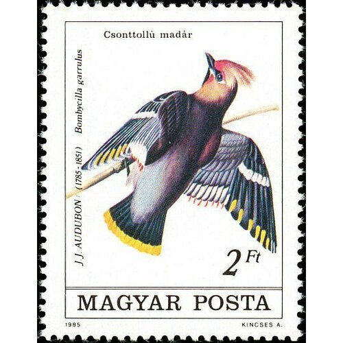 (1985-031) Марка Венгрия Свиристель Птицы II Θ 1985 029 марка венгрия дятел птицы ii θ