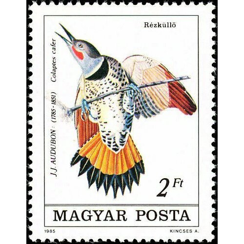 (1985-029) Марка Венгрия Дятел , III O 1985 029 марка венгрия дятел птицы ii θ