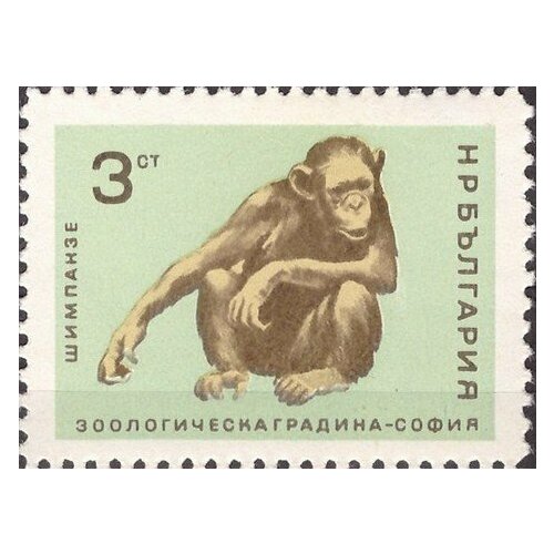 (1966-031) Марка Болгария Шимпанзе Софийский зоопарк II O