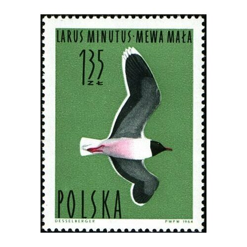 (1964-038) Марка Польша Малая чайка , III Θ