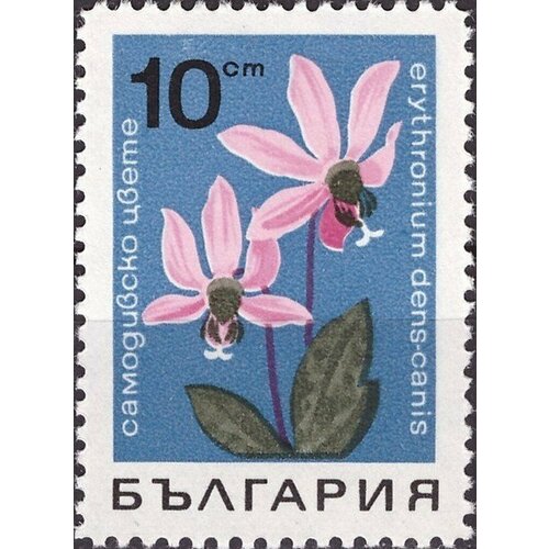 кандык кондо 2шт (1968-017) Марка Болгария Кандык Кавказский Горные цветы III Θ