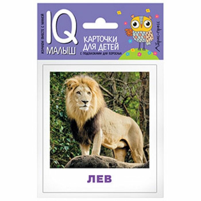 Книжка развивающая Айрис-пресс Животные жарких стран, IQ-малыш 0+ - фото №15