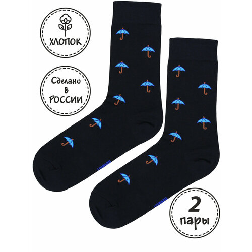 Носки Kingkit, 2 пары, размер 41-45, голубой, коричневый, черный носки kingkit 2 пары размер 41 45 голубой черный бесцветный