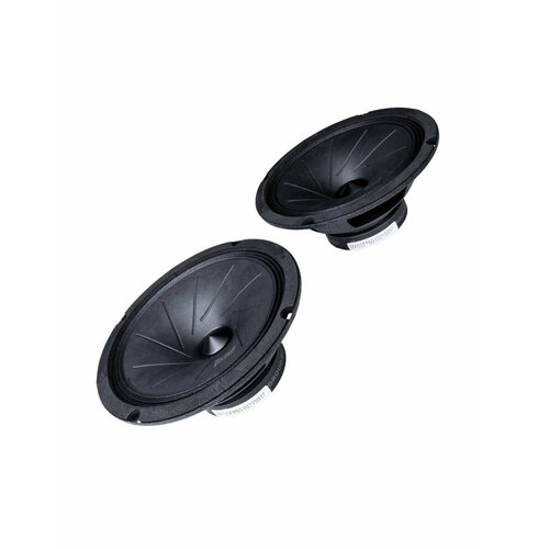 Акустика эстрадная MASS FR65 4ом широкополосная 2 шт 323200₽