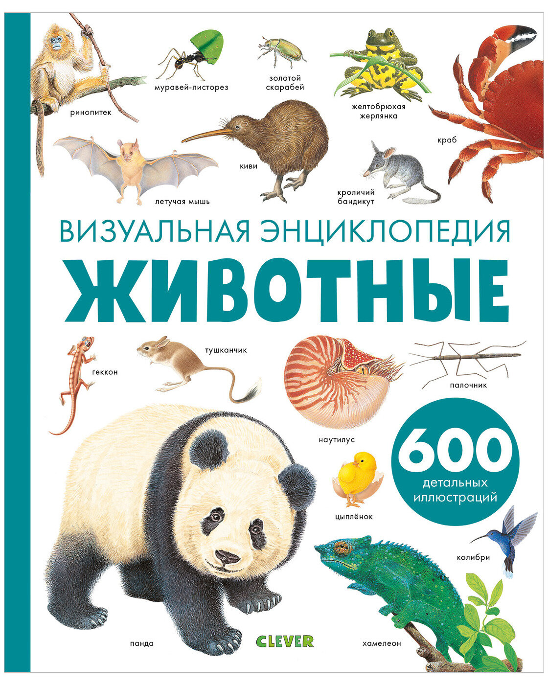 Животные. Визуальная энциклопедия - фото №1