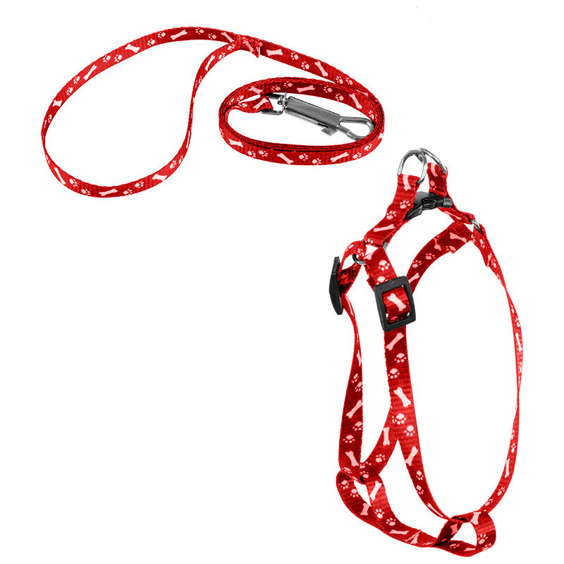 фото Шлейка с поводком, ширина 1 см, размер S - 24-34 см