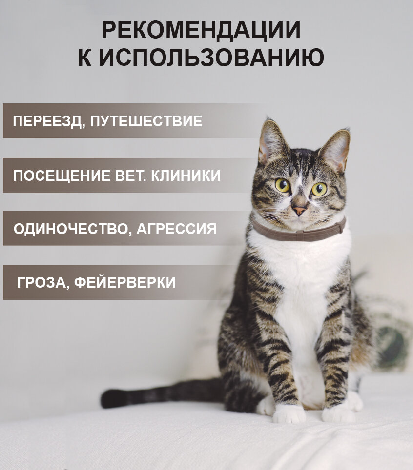 Ошейник для кошек Calming Collar успокаивающий с феромонами, голубой цвет - фотография № 3