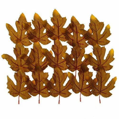 Декор «Осенний лист» набор 15 шт, размер 1 шт. — 9 × 11 × 0,2 см, цвет коричневый