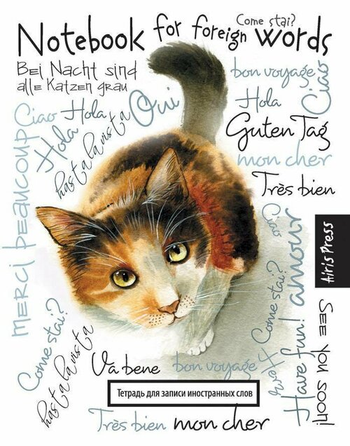 Айрис-Пресс Тетрадь для записи иностранных слов, большая (любопытная кошка)