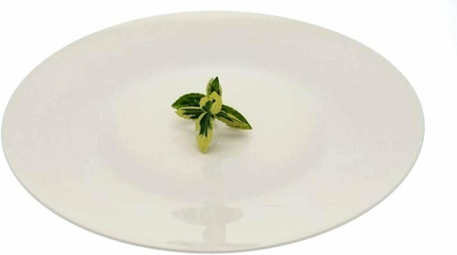 фото Фарфоровое блюдо ZAFFIRO Tognana, ZF622300000, 30 см