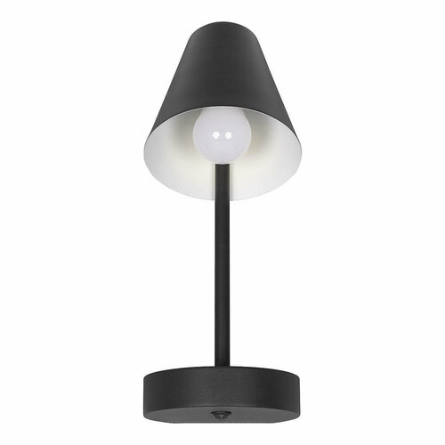 Настенный светильник Loft It Shelf 10216/1W Black, E27, 40Вт, кол-во ламп:1шт, Черный