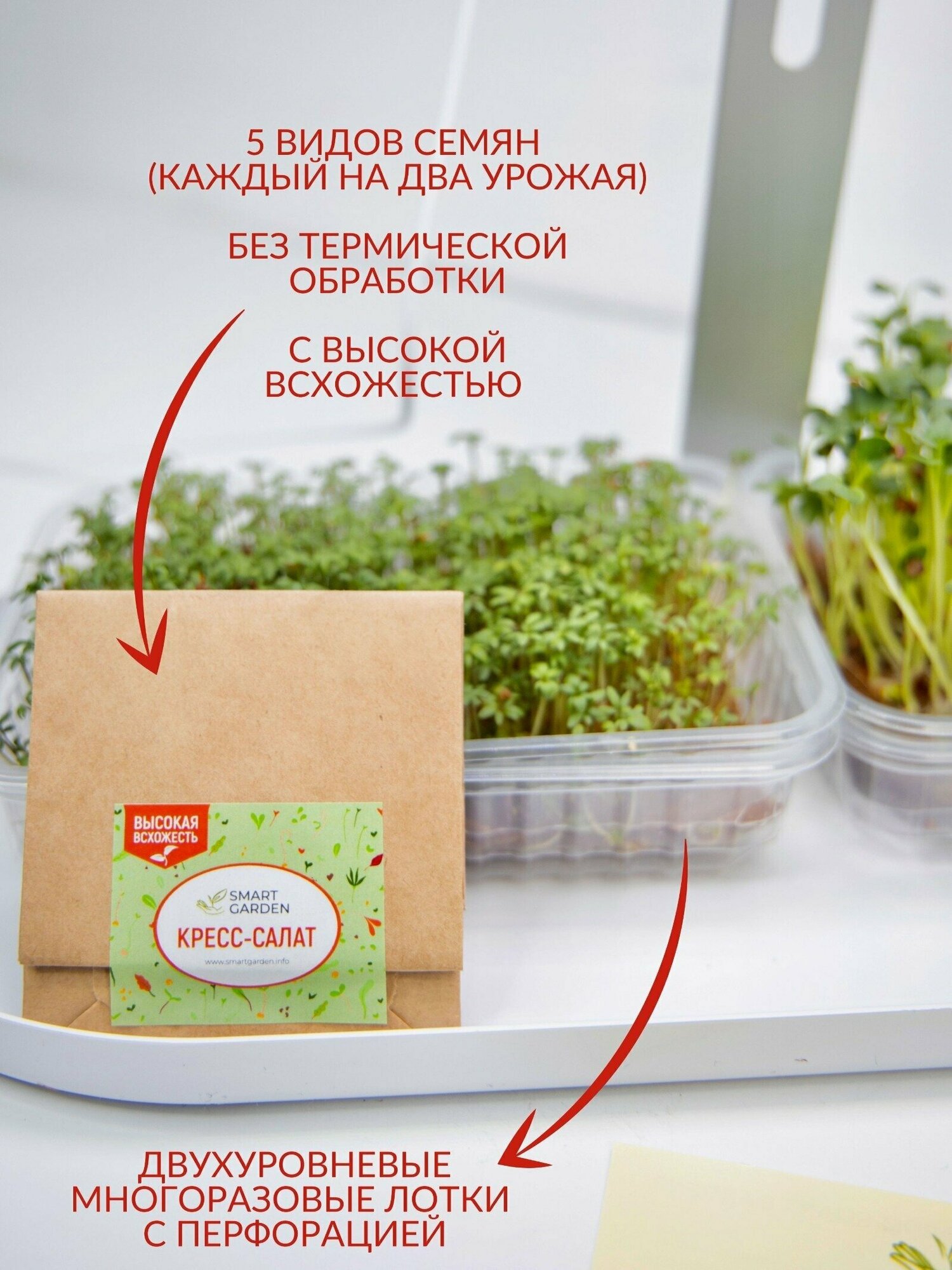 Набор для выращивания микрозелени 10 урожаев, микрозелень Smart Garden - фотография № 3