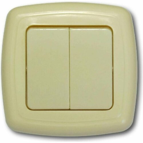 Двухклавишный выключатель ООО Ливны-Электро скрытой установки С2-006 УХЛ 4 слоновая кость ВСП 17