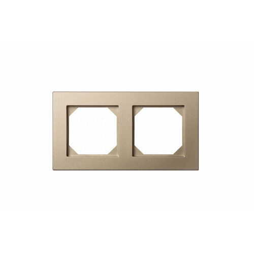 LIREGUS Рамка Двухместная Шампань (Универсальный Монтаж) LIREGUS EPSILON