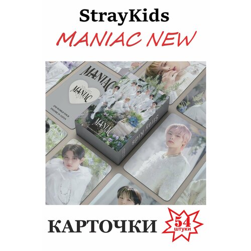 Карточки фото lomo к-поп группы Stray Kids/ Стрэйкидс MANIAC NEW