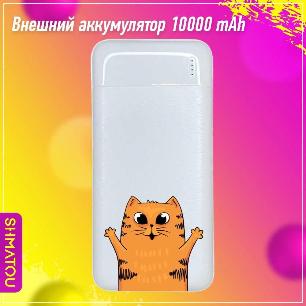 Внешний аккумулятор (Power Bank) 10000 мАч павер банк переносной аккумулятор для зарядки телефона повербанк с рисунком