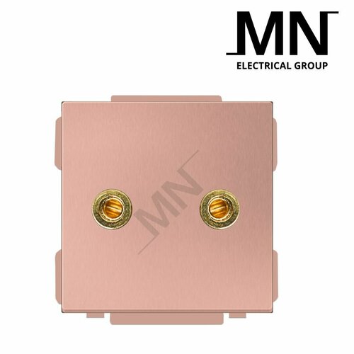 Аудио розетка x2 