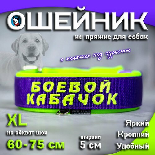 Ошейник для собак Buddy team на пряжке, с вышивкой боевой кабачок, ширина 5 см, с мягким подкладом для средних и крупных пород, размер XL