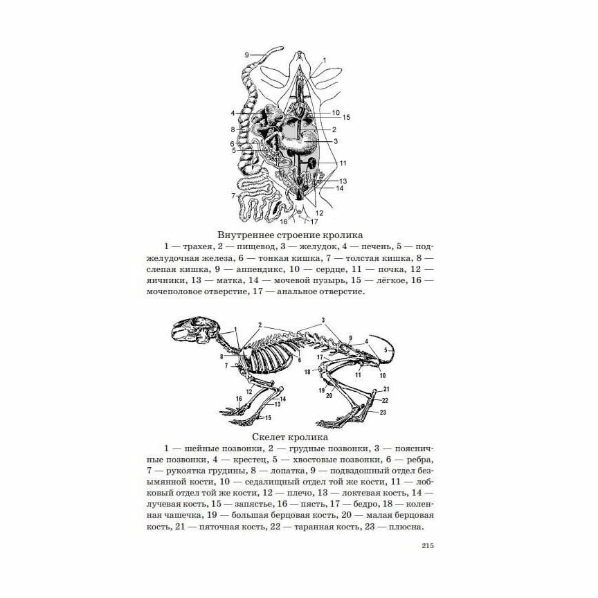 ОГЭ. Биология. Новый полный справочник для подготовки к ОГЭ - фото №12