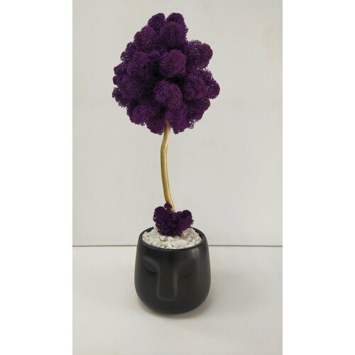 Интерьерная композиция/ Декор/ Кашпо с стабилизированным мхом