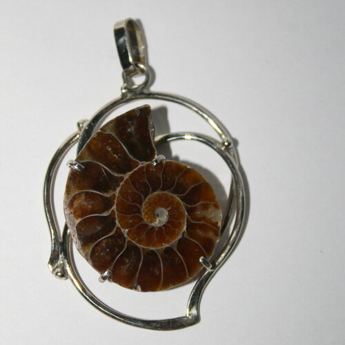 фото Подвеска true stones, аммонит, коричневый