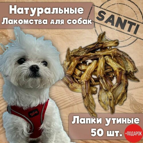 Лакомства для собак SANTI. Лапки утиные 50 шт.