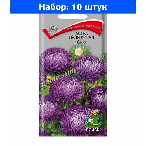 Астра Леди Корал Синяя розовидная 0,1г Одн 70см (Поиск) - 10 пачек семян