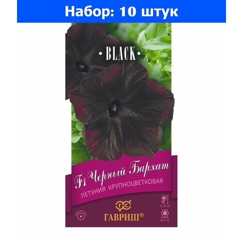 Петуния Черный бархат F1 крупноцветковая 4шт Одн 35см (Гавриш) Блэк - 10 пачек семян