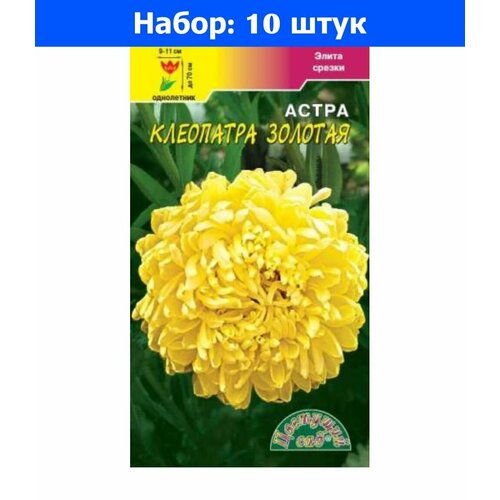 Астра Клеопатра Золотая пионовидная 0.2г Одн 70см (Цвет сад) - 10 пачек семян