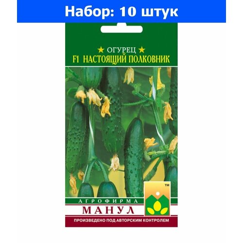 Огурец Настоящий полковник F1 10шт Парт Ранн (Манул) - 10 пачек семян огурец карусель f1 10шт парт ранн манул 10 пачек семян