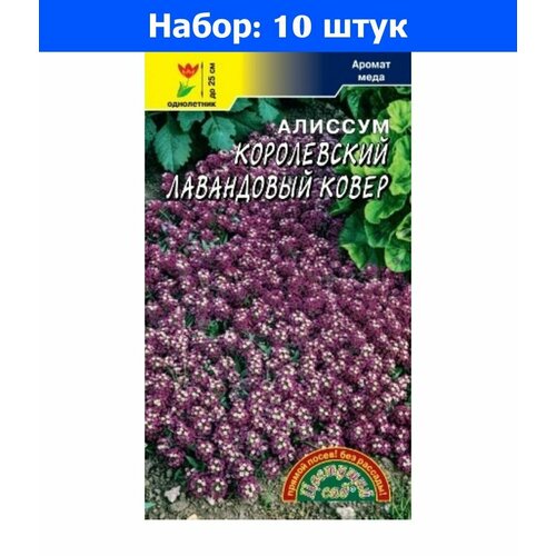 Алиссум Лавандовый ковер Королевский 0,05г Одн 25см (Цвет сад) - 10 пачек семян