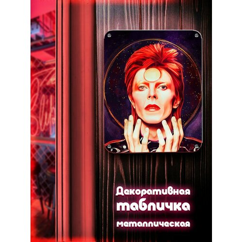 Табличка металлическая вертикальная 24*30 Музыка David Bowie - 2608