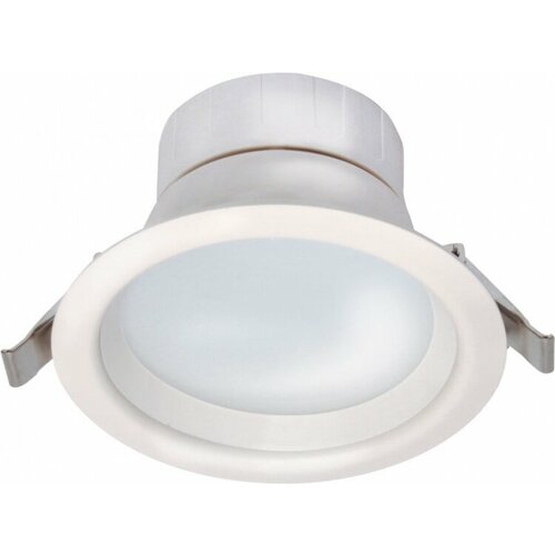 Светодиодный светильник Shine Downlight luna 4