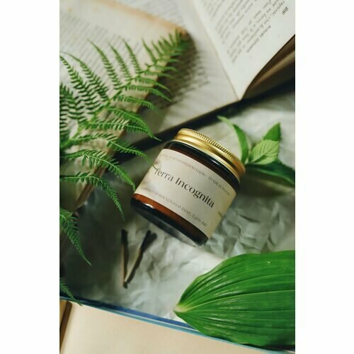 Свеча ароматическая Candelae.Stories Неизведанные Земли, 120 мл