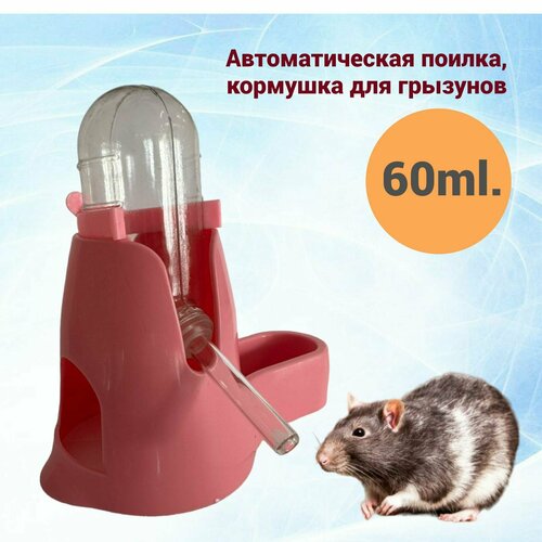Поилка кормушка для грызунов 60ml розовая 429₽