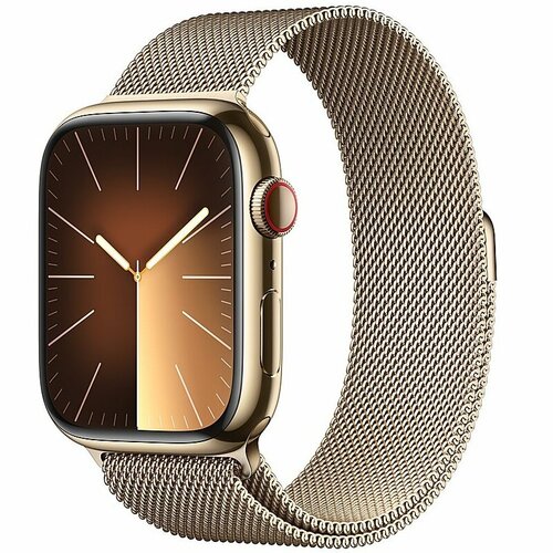 Умные часы Apple Watch Series 9 GPS Cellular 45mm Gold Stainless Steel Case with Gold Milanese Loop 10449000₽