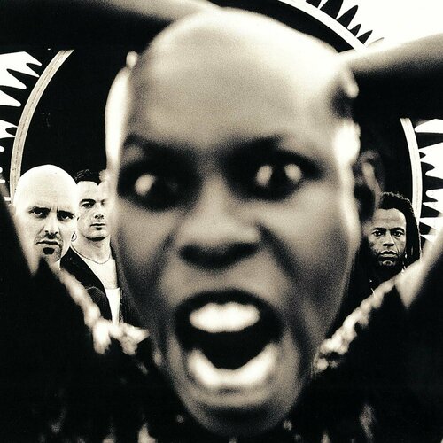 Skunk Anansie Виниловая пластинка Skunk Anansie Stoosh printio футболка классическая skunk anansie