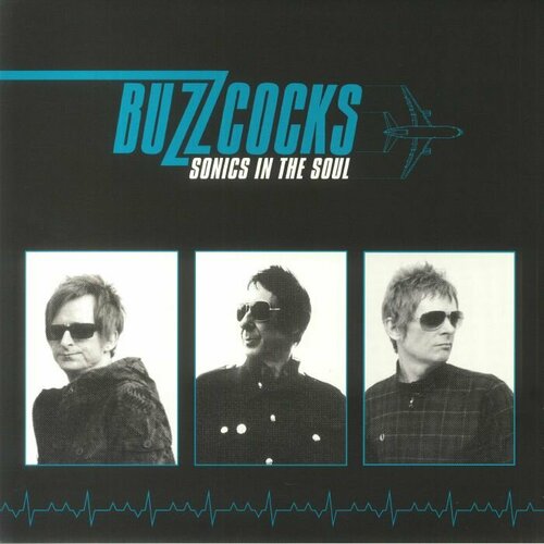 Buzzcocks Виниловая пластинка Buzzcocks Sonics In The Soul