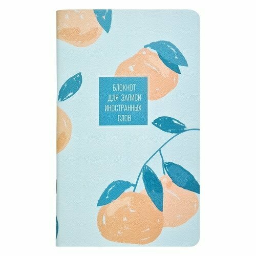 Блокнот для записи иностранных слов Be Smart, коллекция Pastel, Мандарин, 48 листов, 13 х 21 см