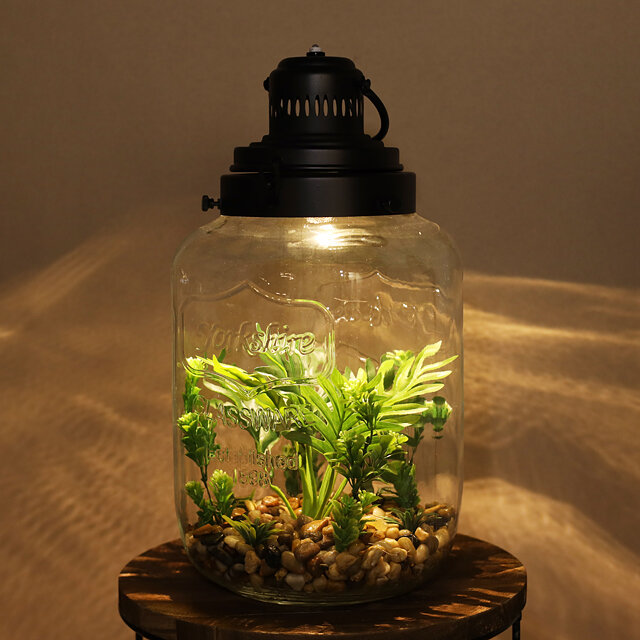 фото Koopman Декоративный флорариум-банка Rubiera с Элодией 39*20 см, теплая белая LED подсветка HZ1952870