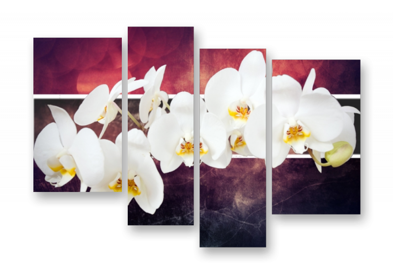 Модульная картина на стекле | Diva Kartina | Цветы. Орхидеи на бордовом фоне | 140X100 см