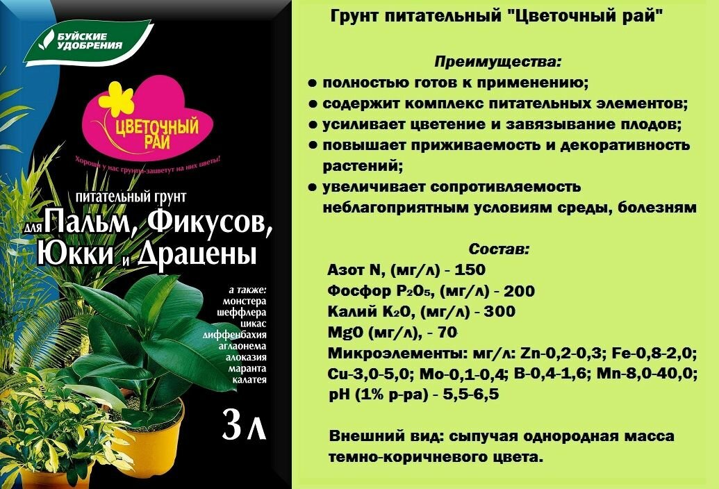 Набор для выращивания пальм, фикусов, юкки и драцен 3 в 1: грунт + удобрение + керамзит - фотография № 2