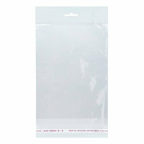 Бопп пакеты с европодвесом 16*24см, 25мкм, с клапаном и скотчем, 100 шт.